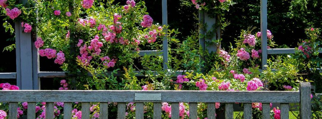 The Best Landscape Design Strategies for Busy Homeowners