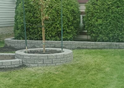 Hardscape tree planters in a backyard by Lush Landscaping