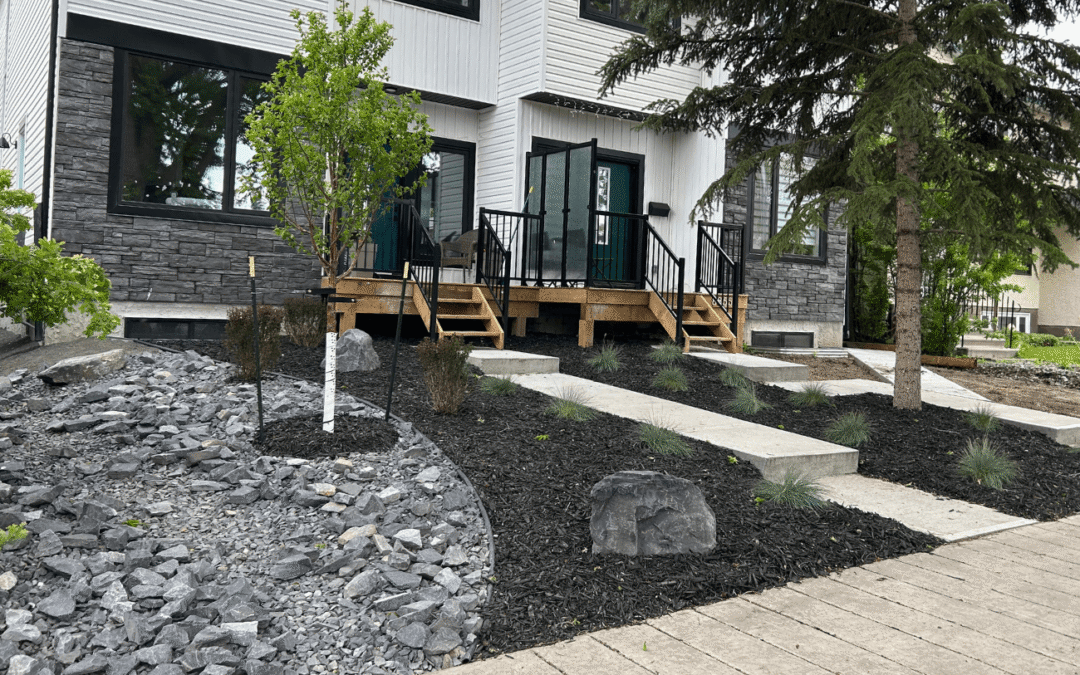 Why Low-Maintenance Landscaping Is So Popular in Edmonton
