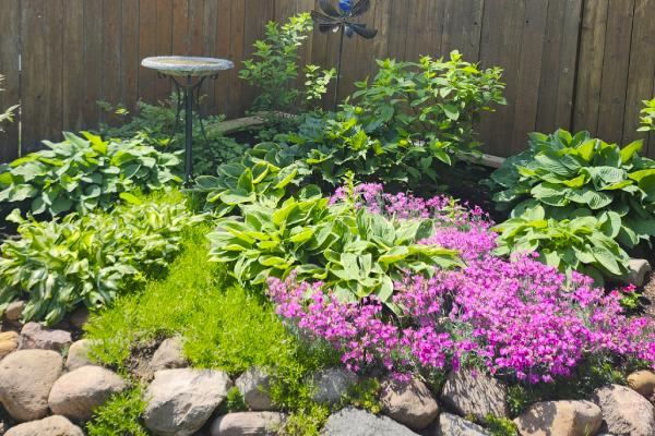 Flowers, plants and bushes planted in a backyard garden by Lush Landscaping