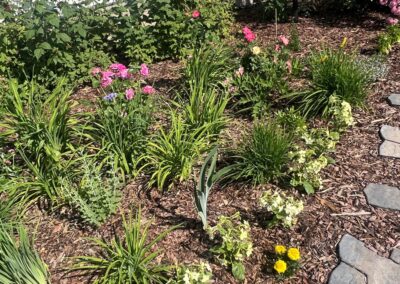 Flowers, plants and bushes planted in a backyard garden by Lush Landscaping