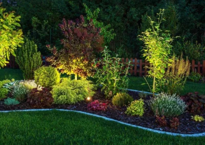outdoor lighting in a front yard by Lush Landscaping