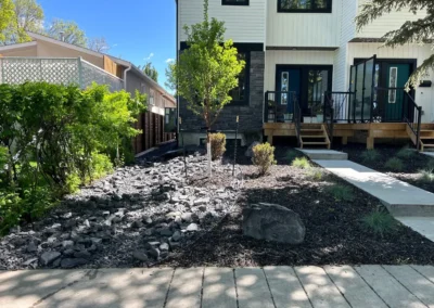 custom plants in front yard of house by Lush Landscaping