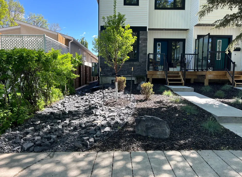 Custom plant selections by Lush Landscaping custom plants in front yard of house by Lush Landscaping