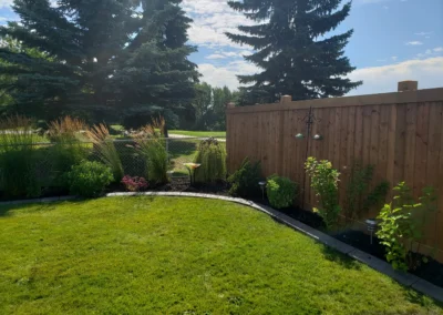 a backyard with plants by Lush Landscaping