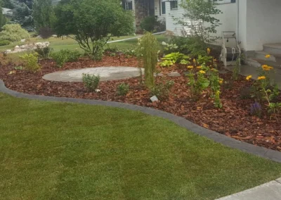 custom plants in front yard of house by Lush Landscaping