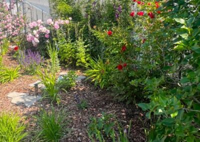 Flowers and bushes planted in a backyard by Lush Landscaping
