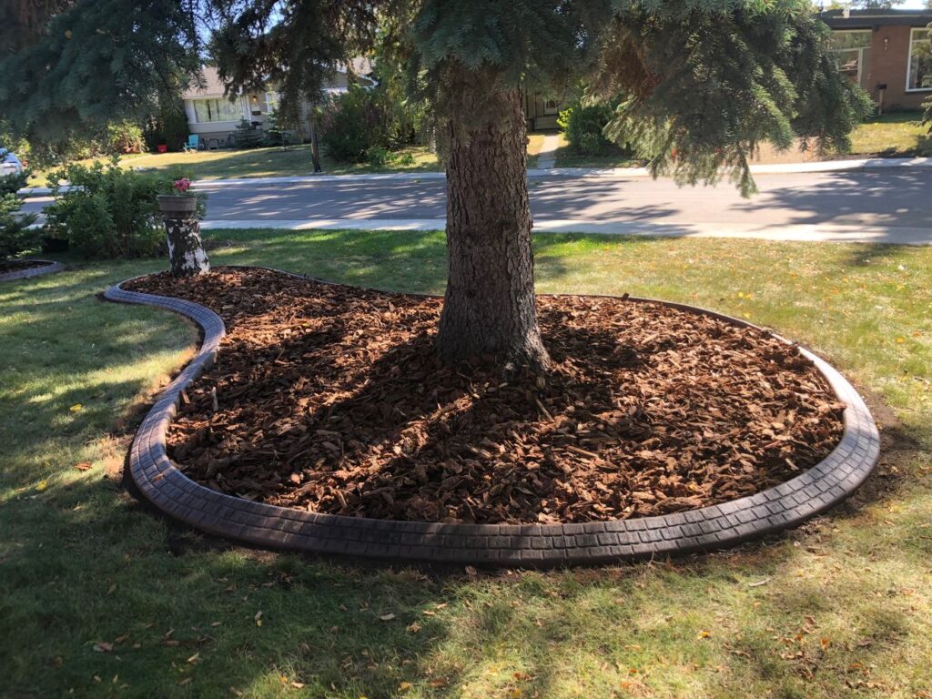 concrete border around tree in a front yard by Lush Landscaping.