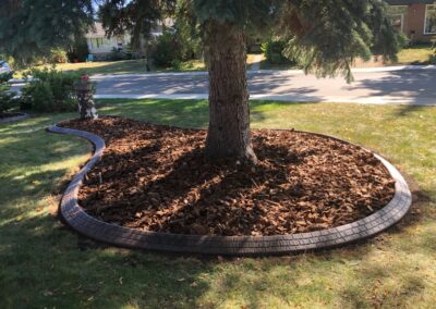 concrete border around tree in a front yard by Lush Landscaping.