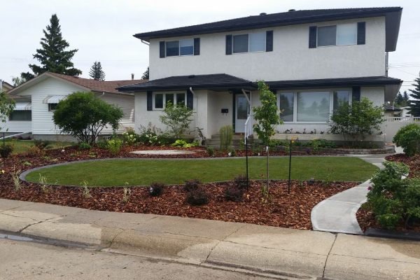 a yard that was restored by Lush Landscaping