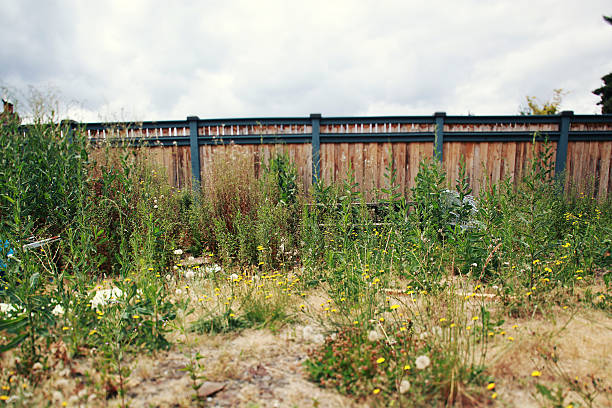 A lot of ugly plants next to a pretty fence