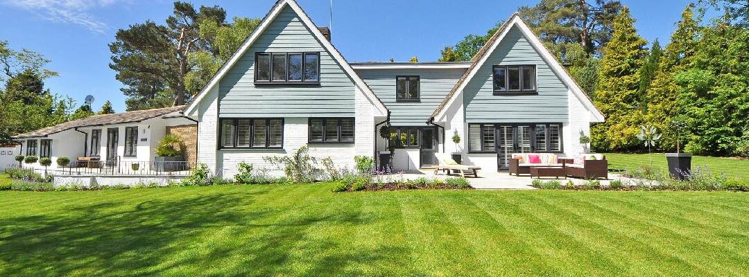 From Patchy to Perfect: How to Restore a Tired Lawn