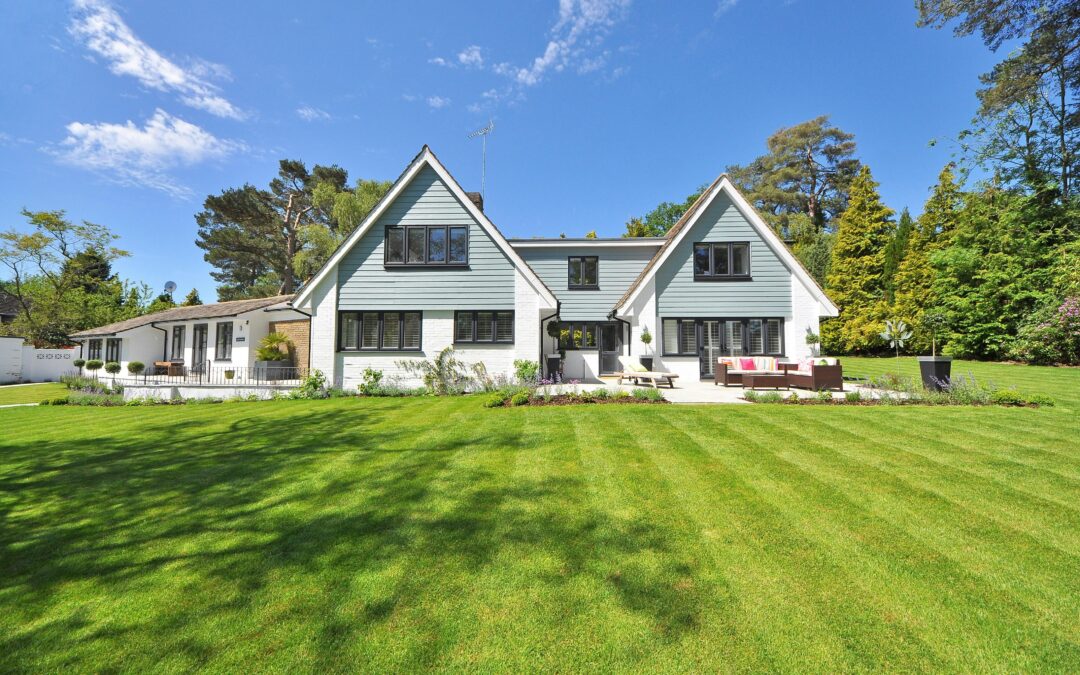 Nicely restored lawn
