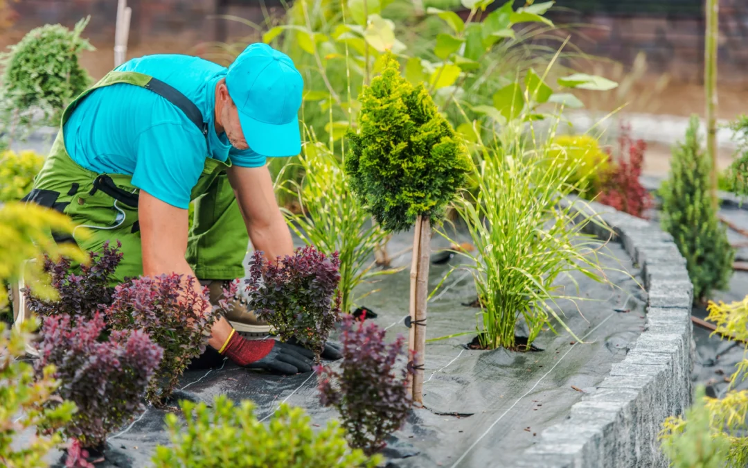 Incorporating Native Plants into Your Landscape Design