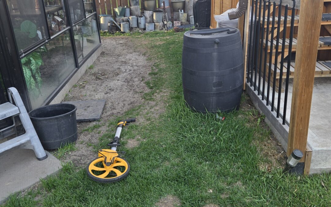 A yard with dead grass due to poor grading