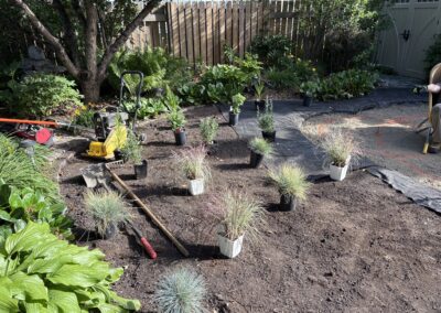 potted plants on the ground during a yard restoration