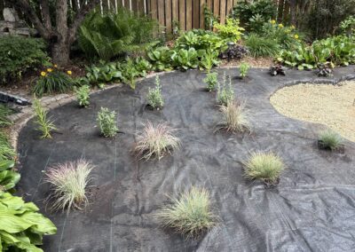 small plants planted into the ground during a yard restoration