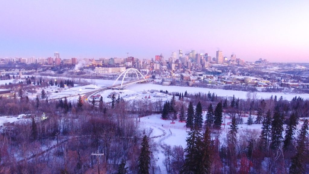 How Winter Affects Your Landscaping in Alberta (And How to Protect It)