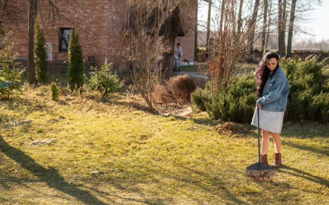 Signs Your Yard Needs Restoration (And Not Just Lawn Care)