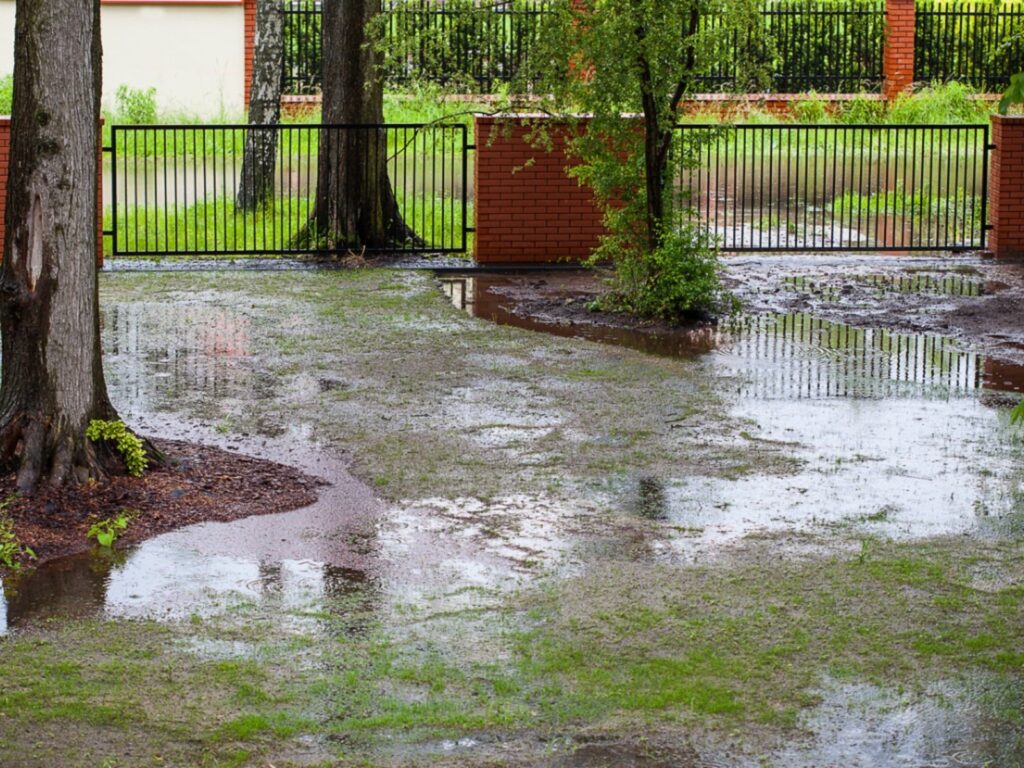 a yard in Edmonton that is flooding due to poor drainage