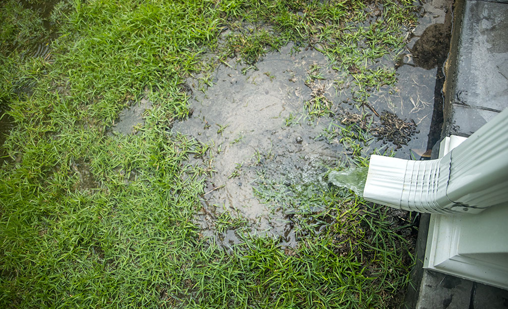 a yard beginning to flood due to poor grading