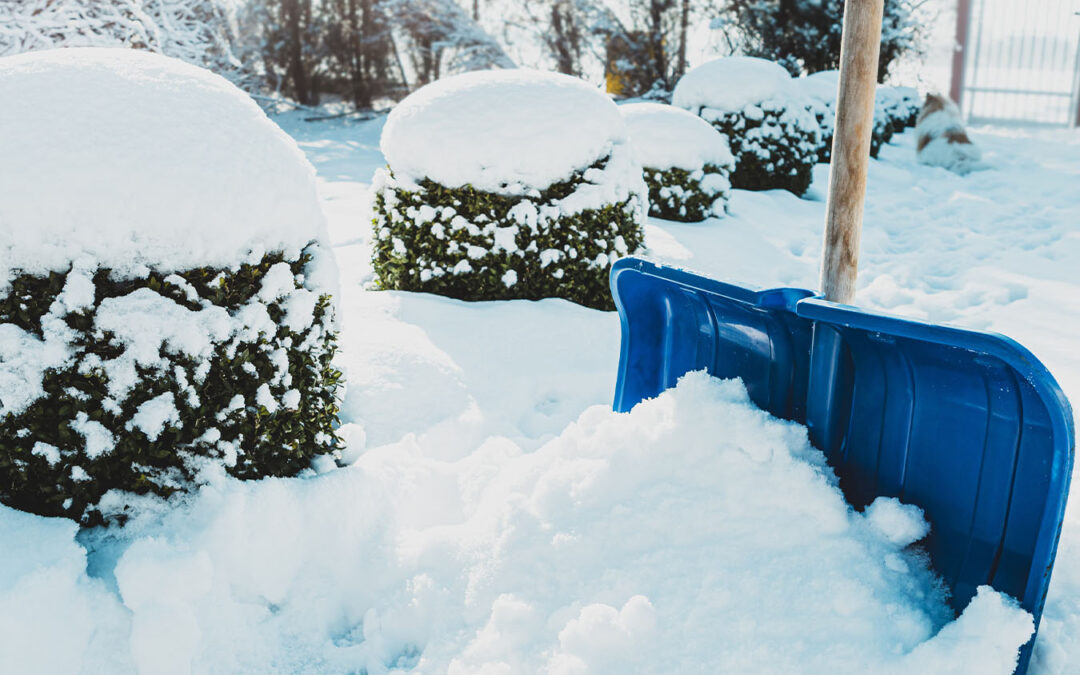 close up of a snow shovel in front of green bushes
