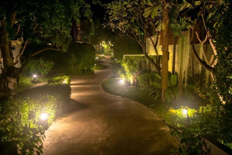 backyard path with lights on the side