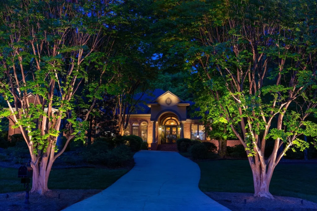 two trees in front of a home being illuminated by lights