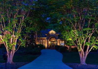 two trees in front of a home being illuminated by lights